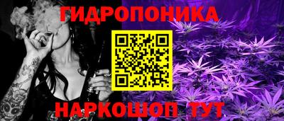Альфа ПВП Славянск-на-Кубани